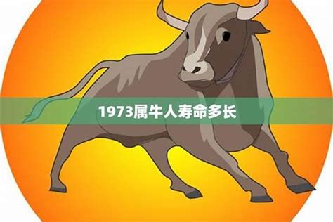 1973五行|1973年五行属什么 1973年属牛的五行是什么命